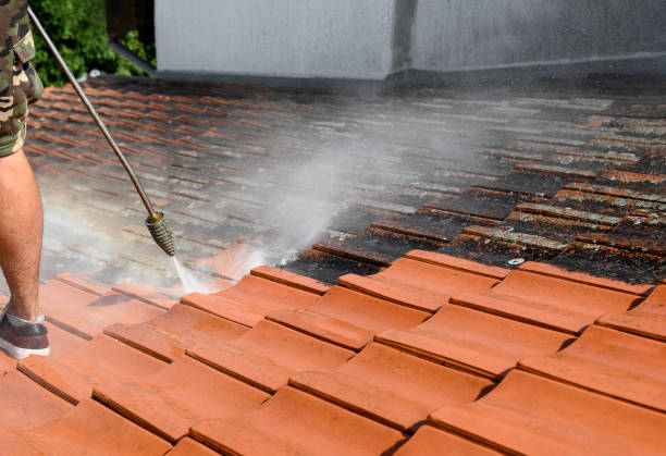Best Residential Pressure Washing Services  in Carey, ID