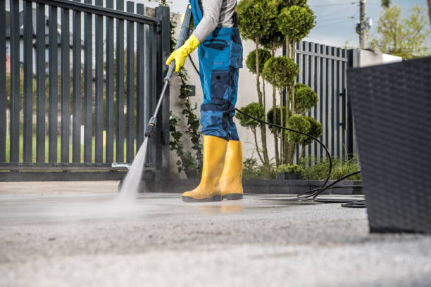 Best Deck Pressure Washing  in Carey, ID